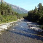 Montana in Spring